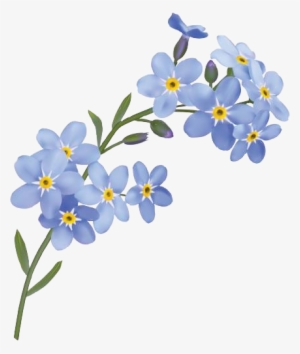 Forget Me Not Flower