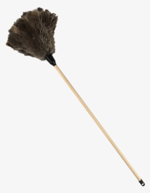 Feather Duster