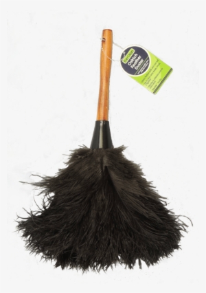 Feather - Royal Ostrich Feather Duster (mini Duster Fb04 (14"),