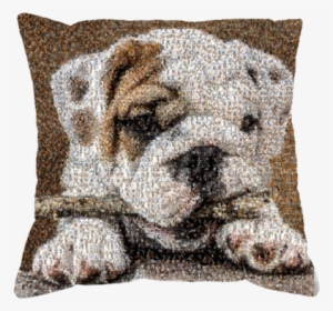 Unique English Bulldog Art Work Original Cushion Gifts - Art
