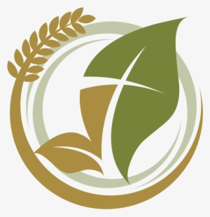 Ministry Staff - New Harvest Apostolic Church (upci)