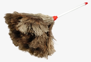 Feather Duster Display - Feather Duster