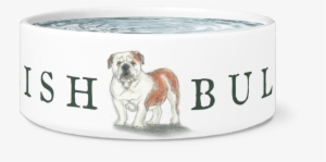 English Bulldog Bowl - I'm The Top Dog Novelty Dog Bowl, For Puppies And Adults