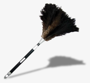 Contact Us - Duster Cleaning Png
