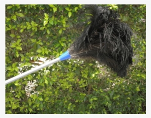 Heavy Duty 2 Piece Extension Ostrich Feather Duster - Product