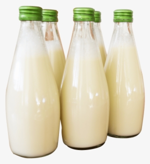 Free Png Milk Bottle Png Images Transparent - Milk In Bottle Png