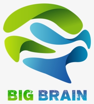 20180220154732bigbrain - Brain