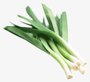 Leek Png - Baby Leek