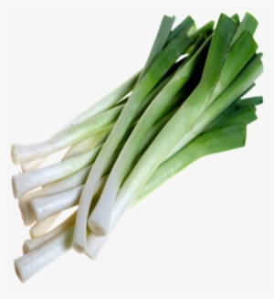 Leek Png - Baby Leek