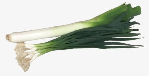 Green Garlic Png