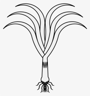 Details, Png - Taco