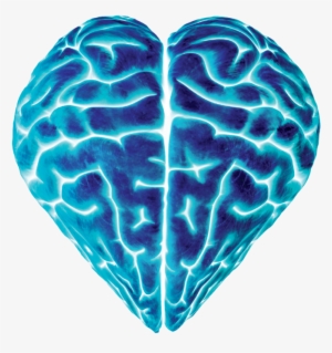 Large Blue Heart Brain Image - Young Neurosurgeon: Lessons From My Patients
