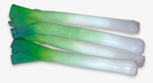 Leek