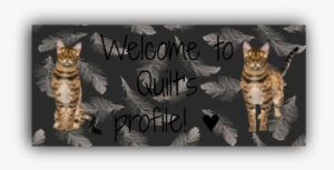 Photo Quilt 1 Zpsydyx2j13 - Pet Tales Game