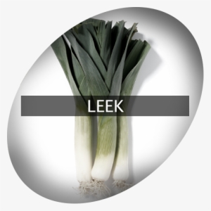 Landingimage Igrow Leek - Leek