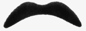 Moustache Png Images Transparent Free Download Pngmartcom - Portable Network Graphics