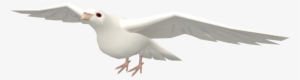 Dove Tf2 Flying