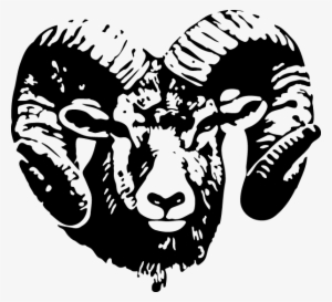 Rams Head Black And White