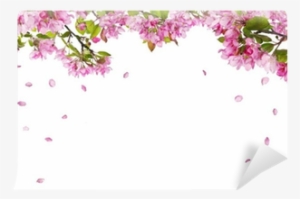 Apple Tree Blossom Branches And Falling Petals Wall - Flower Half Frame