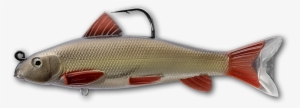 130 Redhorse Natural / Olive - Redhorse Sucker Lure