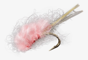 Sucker Spawn - Dk Pink - Spawn