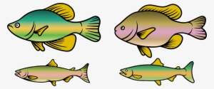 Rainbow Trout Clipart At Getdrawings - Trout Clipart