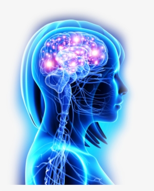 Neural Zoomer Is A Test That Shows Me If Your Immune - Bipolar 1 Disorder - How To Survive And Thrive