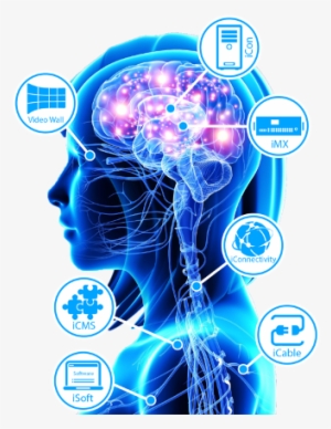 View Larger Image - Biometrics For Market Research