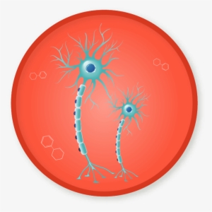 Win A Badge - Universidad Nacional De Chimborazo