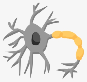 Nervous System Icon Png