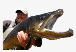 Fishing At Rainbow Is Legendery - Pull Fish Out Of Water