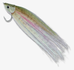 Rainbow Trout - - Fish Hook