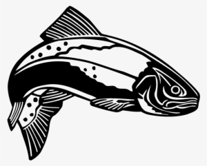 Black And White Trout