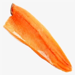 Rainbow Trout - Product