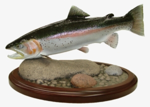Rainbow Trout Mount - Coastal Cutthroat Trout