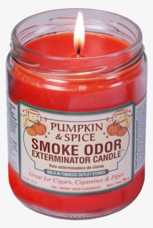 Odor Exterminator Candle Mulberry And Spice 13oz