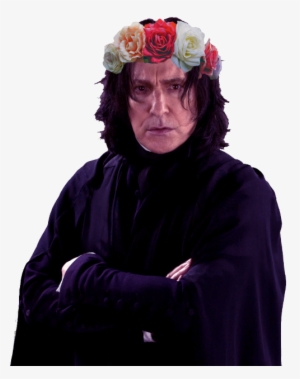 Snape Png - Kawaii Severus Snape