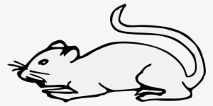 Details, Png