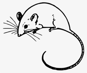 Clipart Png Mouse - Mouse Clipart Transparent