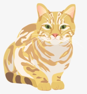 201408 Cat - Cat File Png