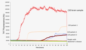 Tracking A Biomarker Over Time In Post-mortem Tissue, - Tissue