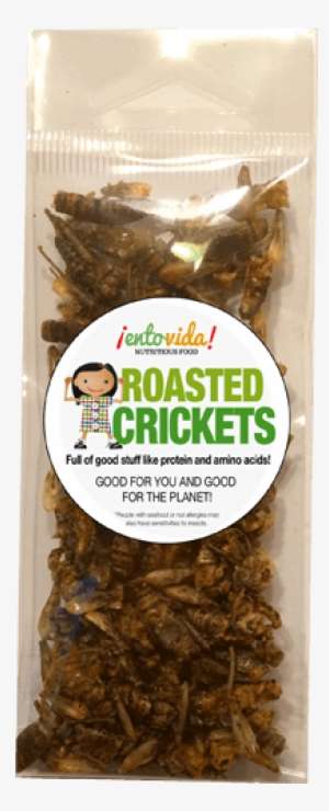 Edible Crickets Roasted Crickets - Roasted Crickets