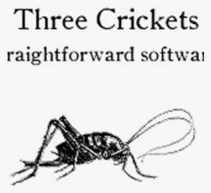 Three Crickets - Spotted Wingless Cricket Poster