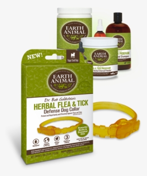Flea Tick Icon