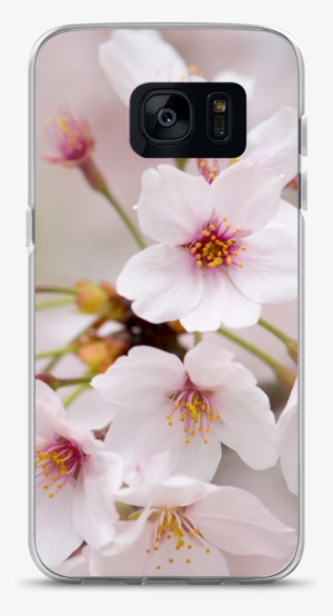 Ablyth Samsung Case, Travel Japan Series, Sakura - Cherry Blossom