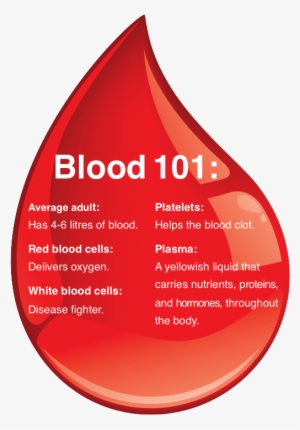 Does The Blood Carry