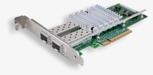 10gb Cards - Proline Small Tree 10gb Pci Express Sgl Pt