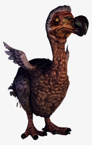 Dodo - Alice Madness Returns Dodo