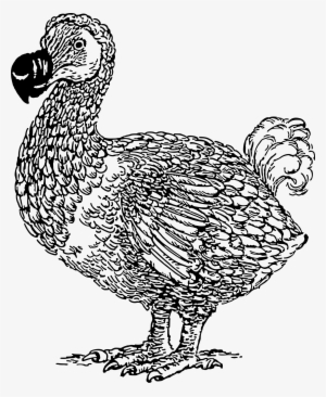 This Free Icons Png Design Of Dodo 2