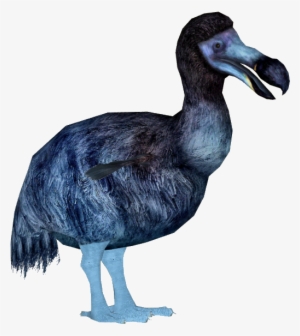 Blue Dodo - Thumbnail
